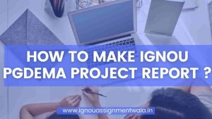 HOW TO MAKE IGNOU PGDEMA PROJECT REPORT ?