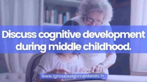 Read more about the article Discuss cognitive development during middle childhood.