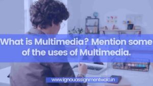 Read more about the article What is Multimedia? Mention some of the uses of Multimedia.
