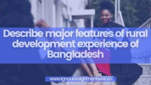 Read more about the article Describe major features of rural development experience of Bangladesh