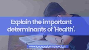 Read more about the article Explain the important determinants of ‘Health’.