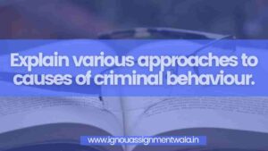 Read more about the article Explain various approaches to causes of criminal behaviour.