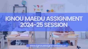 Read more about the article IGNOU MAEDU ASSIGNMENT 2024-25 SESSION