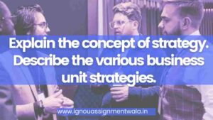 Read more about the article Explain the concept of strategy. Describe the various business unit strategies.