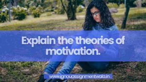 Read more about the article Explain the theories of motivation.
