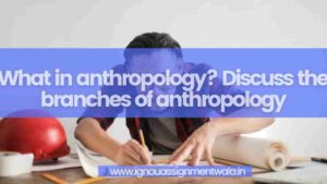 how to make ignou assignment 2021 Read more about the article What in anthropology? Discuss the branches of anthropology