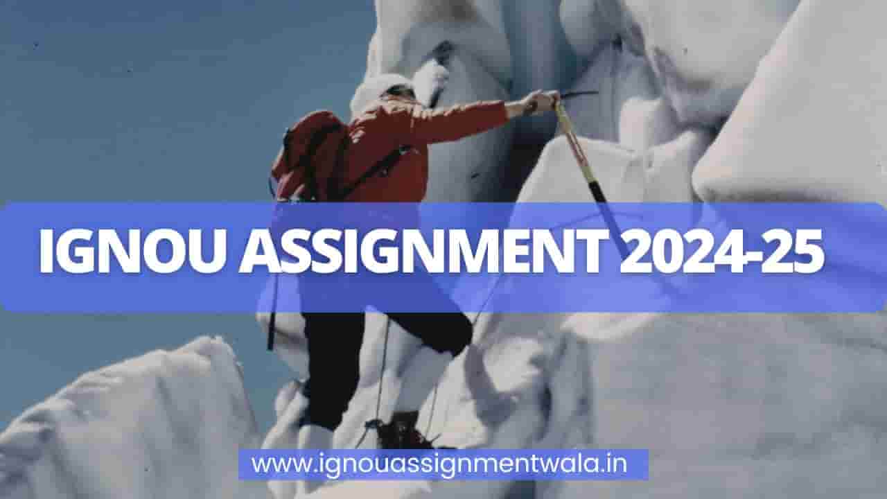 Read more about the article IGNOU ASSIGNMENT 2024-25